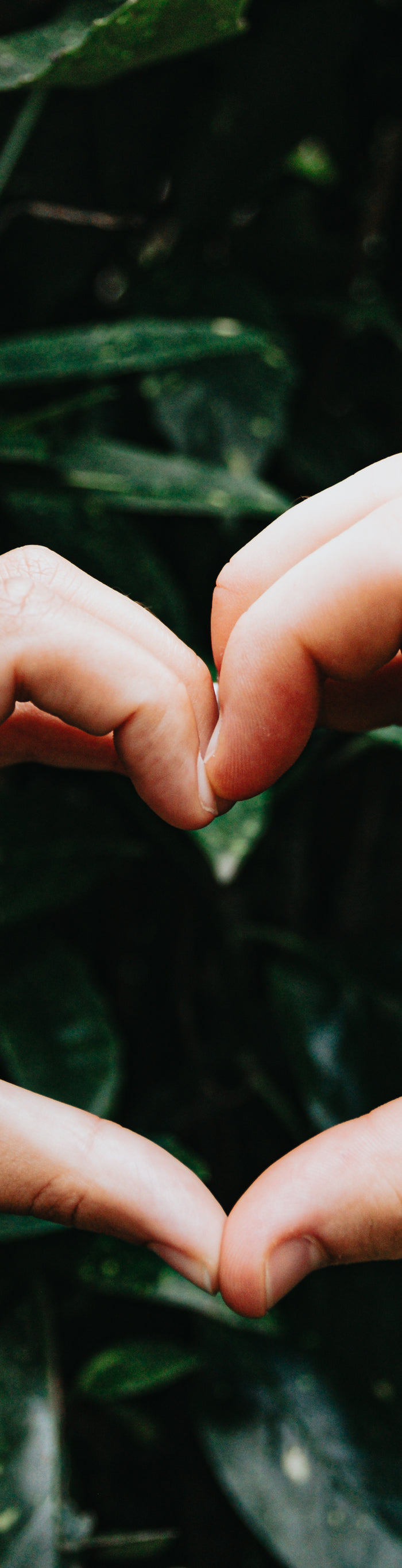 <h2>‘‘The theme is really great and has tons of useful features. The customer support is really helpful and responds without a matter of hours.’’</h2><h4>⭐⭐⭐⭐⭐<br/></h4><h5>Merchant</h5><p>Aug 2, 2024<br/></p>